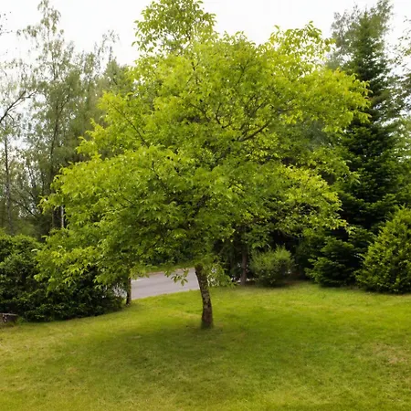 Waldquartier L L 3 Schlafzimmer L Grosse Terrasse L Grill L Wlan Alpehytte Regen